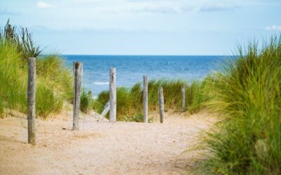 Sommerferien vom 06.07. – 16.08.2023