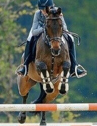 Zwillinge reiten für Deutschland