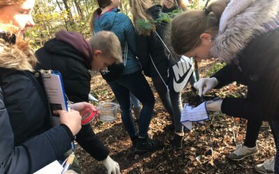 Walderkundung mit digitalen Medien – dem Klimawandel auf der Spur
